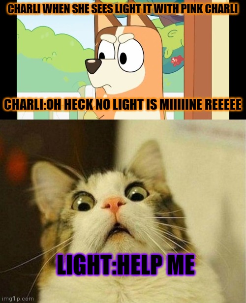 lol | CHARLI WHEN SHE SEES LIGHT IT WITH PINK CHARLI; CHARLI:OH HECK NO LIGHT IS MIIIIINE REEEEE; LIGHT:HELP ME | image tagged in angry chilli,memes,scared cat | made w/ Imgflip meme maker