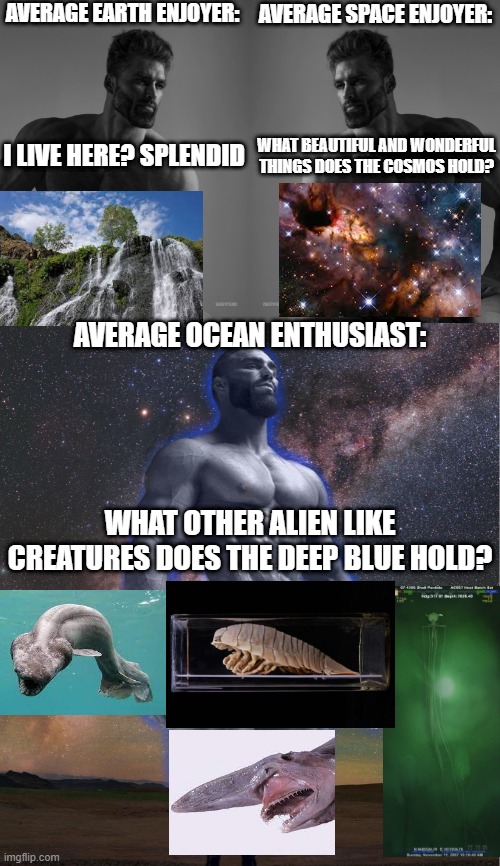 hmmm | AVERAGE EARTH ENJOYER:; AVERAGE SPACE ENJOYER:; WHAT BEAUTIFUL AND WONDERFUL THINGS DOES THE COSMOS HOLD? I LIVE HERE? SPLENDID; AVERAGE OCEAN ENTHUSIAST:; WHAT OTHER ALIEN LIKE CREATURES DOES THE DEEP BLUE HOLD? | image tagged in giga chad,omega chad | made w/ Imgflip meme maker