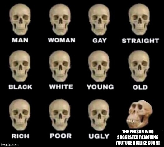 idiot skull | THE PERSON WHO SUGGESTED REMOVING YOUTUBE DISLIKE COUNT | image tagged in idiot skull | made w/ Imgflip meme maker