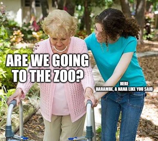 Sure grandma let's get you to bed | ARE WE GOING TO THE ZOO? HERE HARAMBE, A NANA LIKE YOU SAID | image tagged in sure grandma let's get you to bed | made w/ Imgflip meme maker