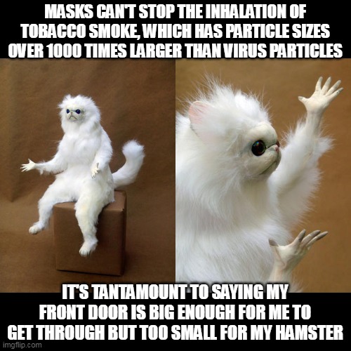 Yes, masks are completely useless |  MASKS CAN'T STOP THE INHALATION OF TOBACCO SMOKE, WHICH HAS PARTICLE SIZES OVER 1000 TIMES LARGER THAN VIRUS PARTICLES; IT'S TANTAMOUNT TO SAYING MY FRONT DOOR IS BIG ENOUGH FOR ME TO GET THROUGH BUT TOO SMALL FOR MY HAMSTER | image tagged in memes,persian cat room guardian | made w/ Imgflip meme maker