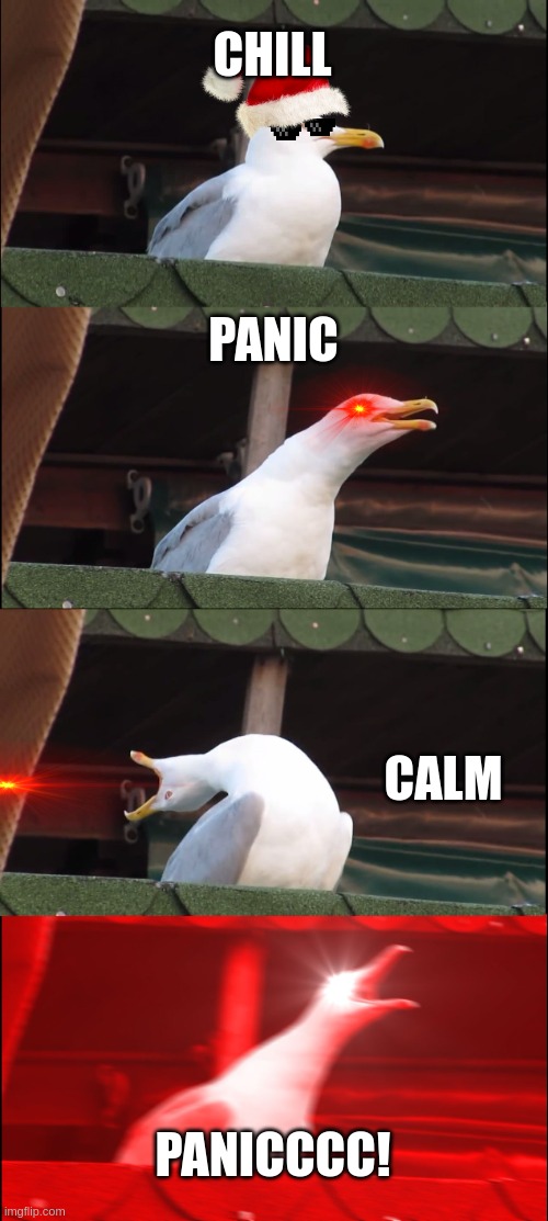 panic | CHILL; PANIC; CALM; PANICCCC! | image tagged in memes,inhaling seagull | made w/ Imgflip meme maker