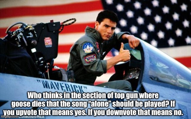 Top gun  | Who thinks in the section of top gun where goose dies that the song “alone” should be played? If you upvote that means yes. If you downvote that means no. | image tagged in top gun | made w/ Imgflip meme maker