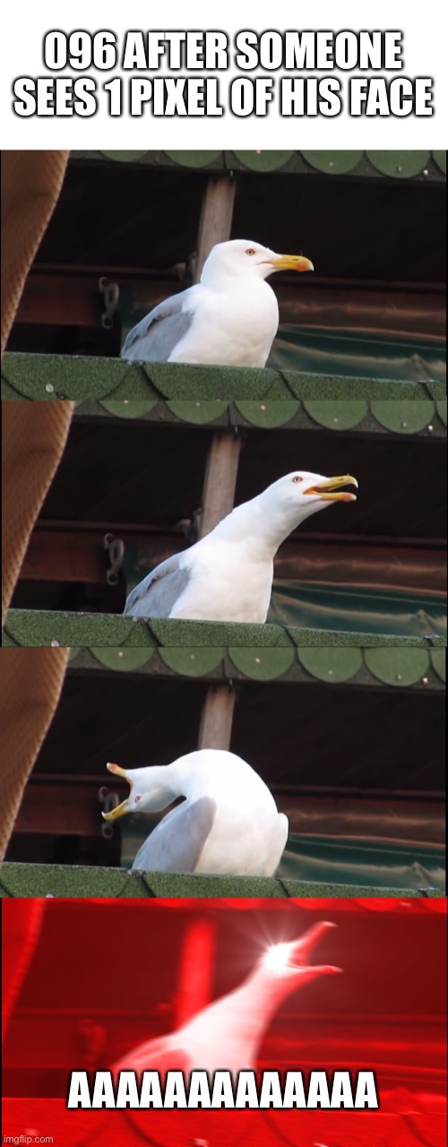 Inhaling Seagull | 096 AFTER SOMEONE SEES 1 PIXEL OF HIS FACE; AAAAAAAAAAAAA | image tagged in memes,inhaling seagull | made w/ Imgflip meme maker