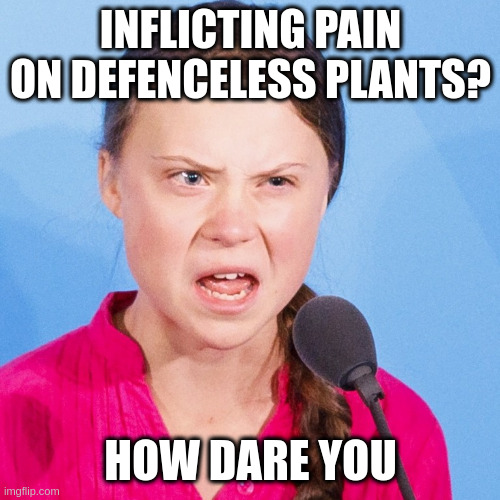 to vegetarians | INFLICTING PAIN ON DEFENCELESS PLANTS? HOW DARE YOU | image tagged in how dare you | made w/ Imgflip meme maker