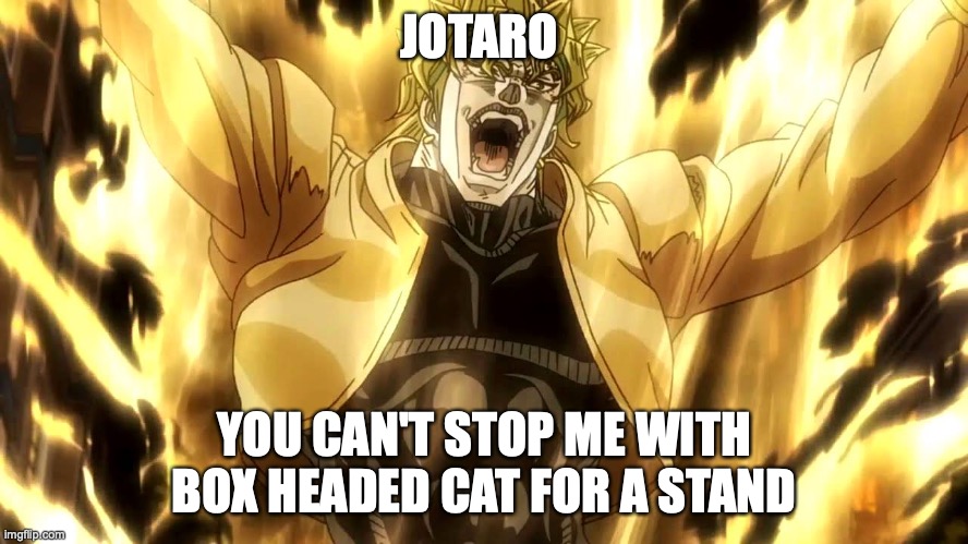 Za Warudo | JOTARO YOU CAN'T STOP ME WITH BOX HEADED CAT FOR A STAND | image tagged in za warudo | made w/ Imgflip meme maker