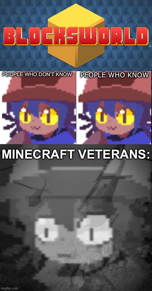 PEOPLE WHO DON’T KNOW; PEOPLE WHO KNOW; MINECRAFT VETERANS: | image tagged in ptsd niko,memes | made w/ Imgflip meme maker