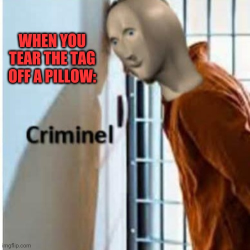 Tear tags off pillow against the law | WHEN YOU TEAR THE TAG OFF A PILLOW: | image tagged in criminel,vandal,thief,corruptor,misleader | made w/ Imgflip meme maker