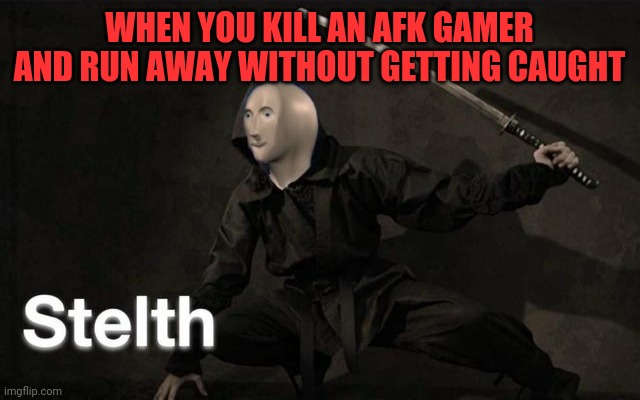 He was afk | WHEN YOU KILL AN AFK GAMER AND RUN AWAY WITHOUT GETTING CAUGHT | image tagged in stelth,nitpick,camper,hide n seek | made w/ Imgflip meme maker