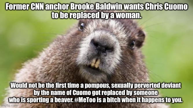 Cuomo = Pervert | Former CNN anchor Brooke Baldwin wants Chris Cuomo
to be replaced by a woman. Would not be the first time a pompous, sexually perverted deviant
by the name of Cuomo got replaced by someone who is sporting a beaver. #MeToo is a bitch when it happens to you. | image tagged in mr beaver,memes,chris cuomo,fired,andrew cuomo,metoo | made w/ Imgflip meme maker