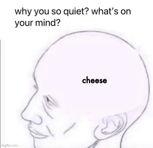 Idk | cheese | image tagged in chees | made w/ Imgflip meme maker