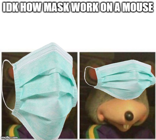 how to put a mask on a rat | IDK HOW MASK WORK ON A MOUSE | image tagged in funny | made w/ Imgflip meme maker