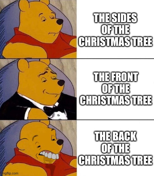 Christmas tree | THE SIDES OF THE CHRISTMAS TREE; THE FRONT OF THE CHRISTMAS TREE; THE BACK OF THE CHRISTMAS TREE | image tagged in best better blurst | made w/ Imgflip meme maker
