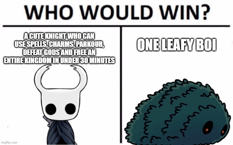literally | A CUTE KNIGHT WHO CAN USE SPELLS, CHARMS, PARKOUR, DEFEAT GODS AND FREE AN ENTIRE KINGDOM IN UNDER 30 MINUTES; ONE LEAFY BOI | image tagged in memes,who would win | made w/ Imgflip meme maker