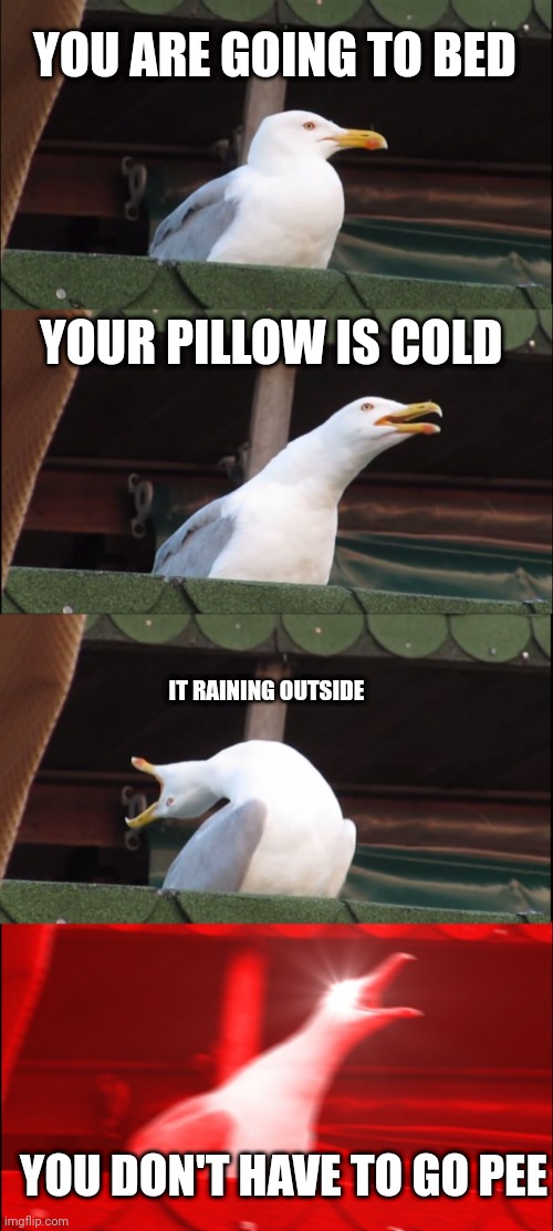The best night ever be like | YOU ARE GOING TO BED; YOUR PILLOW IS COLD; IT RAINING OUTSIDE; YOU DON'T HAVE TO GO PEE | image tagged in memes,inhaling seagull | made w/ Imgflip meme maker