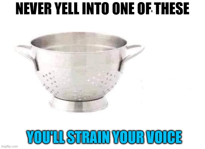 NEVER YELL INTO ONE OF THESE; YOU'LL STRAIN YOUR VOICE | made w/ Imgflip meme maker