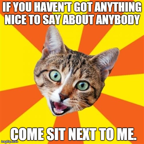 Gossip cat | IF YOU HAVEN'T GOT ANYTHING NICE TO SAY ABOUT ANYBODY   COME SIT NEXT TO ME. | image tagged in memes,bad advice cat,alice roosevelt longworth,gossip | made w/ Imgflip meme maker