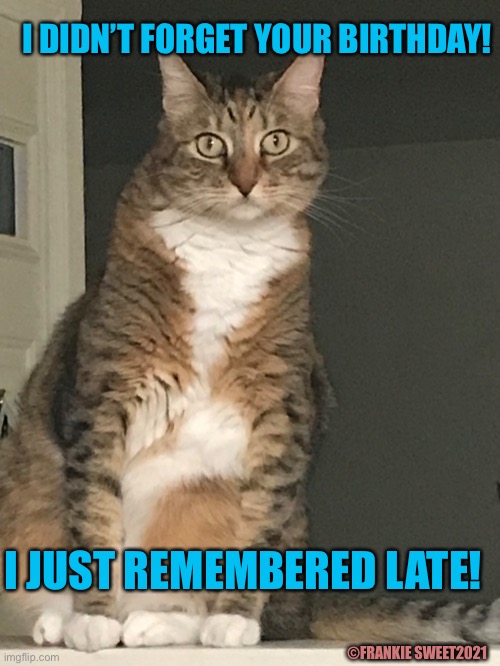 I didn’t forget your birthday |  I DIDN’T FORGET YOUR BIRTHDAY! ©FRANKIE SWEET2021; I JUST REMEMBERED LATE! | image tagged in birthday,remember,late,forget,cat,pets | made w/ Imgflip meme maker