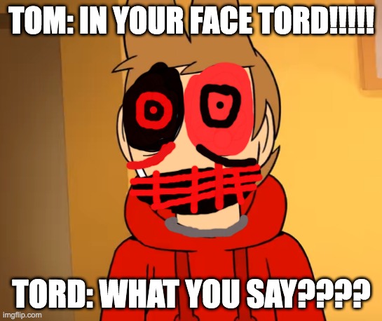 what you say??? | TOM: IN YOUR FACE TORD!!!!! TORD: WHAT YOU SAY???? | image tagged in funny memes | made w/ Imgflip meme maker