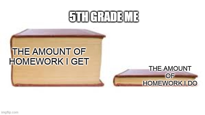 Big book small book | 5TH GRADE ME; THE AMOUNT OF HOMEWORK I DO; THE AMOUNT OF HOMEWORK I GET | image tagged in big book small book | made w/ Imgflip meme maker