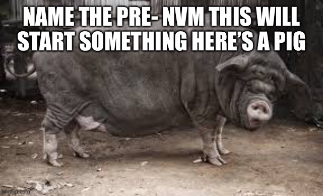 fat pig | NAME THE PRE- NVM THIS WILL START SOMETHING HERE’S A PIG | image tagged in fat pig | made w/ Imgflip meme maker