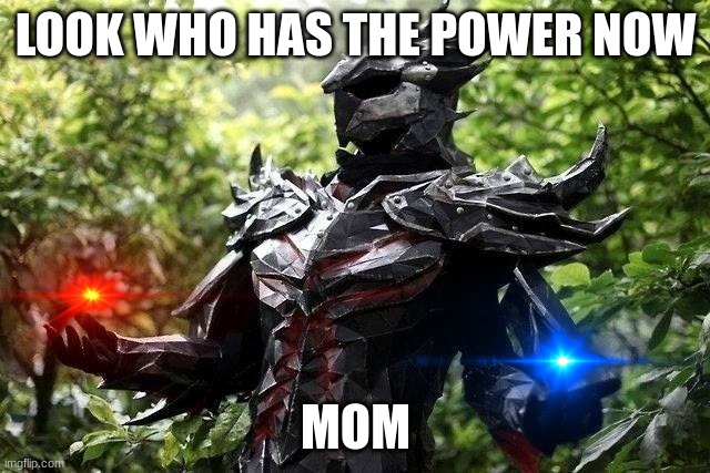 Armor. Give me. Now. I beg. Please. | LOOK WHO HAS THE POWER NOW; MOM | image tagged in skyrim | made w/ Imgflip meme maker