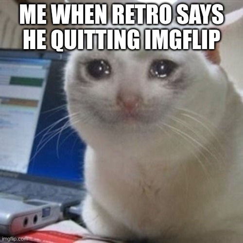 Crying cat | ME WHEN RETRO SAYS HE QUITTING IMGFLIP | image tagged in crying cat | made w/ Imgflip meme maker