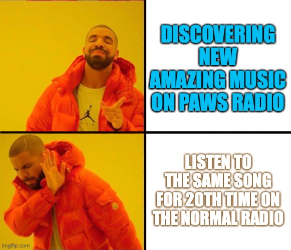 drake yes no reverse | DISCOVERING NEW AMAZING MUSIC ON PAWS RADIO; LISTEN TO THE SAME SONG FOR 20TH TIME ON THE NORMAL RADIO | image tagged in drake yes no reverse | made w/ Imgflip meme maker