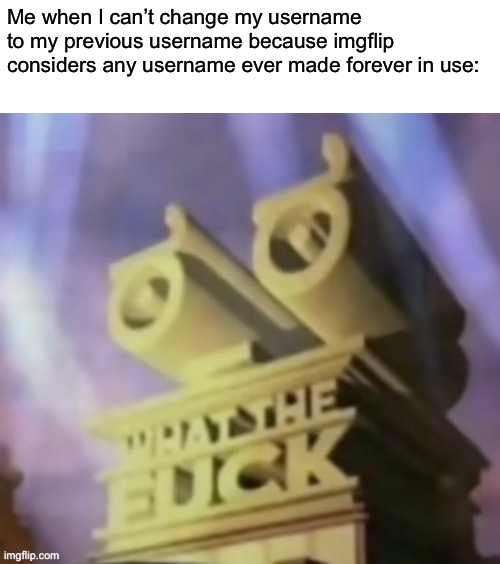 Has this been fixed already? | Me when I can’t change my username to my previous username because imgflip considers any username ever made forever in use: | made w/ Imgflip meme maker