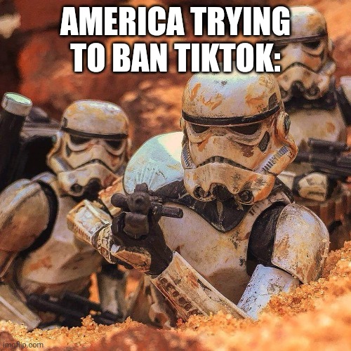 Bad Aim | AMERICA TRYING TO BAN TIKTOK: | image tagged in bad aim | made w/ Imgflip meme maker