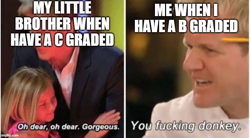 graded | MY LITTLE BROTHER WHEN HAVE A C GRADED; ME WHEN I HAVE A B GRADED | image tagged in gordon ramsay kids vs adults | made w/ Imgflip meme maker