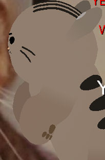 Lulu Blank Meme Template