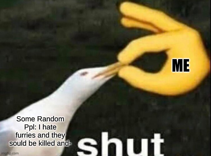 Shut | ME; Some Random Ppl: I hate furries and they sould be killed and- | image tagged in no just no,anti furry,shut up,seagull | made w/ Imgflip meme maker