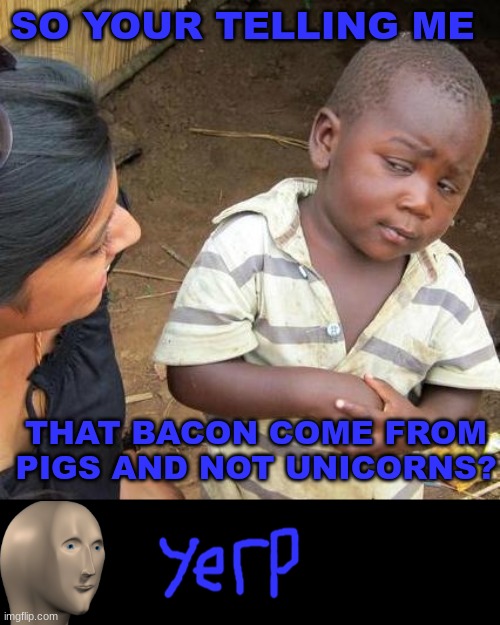 Third World Skeptical Kid | SO YOUR TELLING ME; THAT BACON COME FROM PIGS AND NOT UNICORNS? | image tagged in memes,third world skeptical kid | made w/ Imgflip meme maker