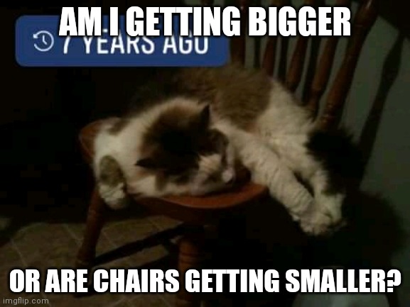 Matt miller | AM I GETTING BIGGER; OR ARE CHAIRS GETTING SMALLER? | image tagged in matt miller | made w/ Imgflip meme maker