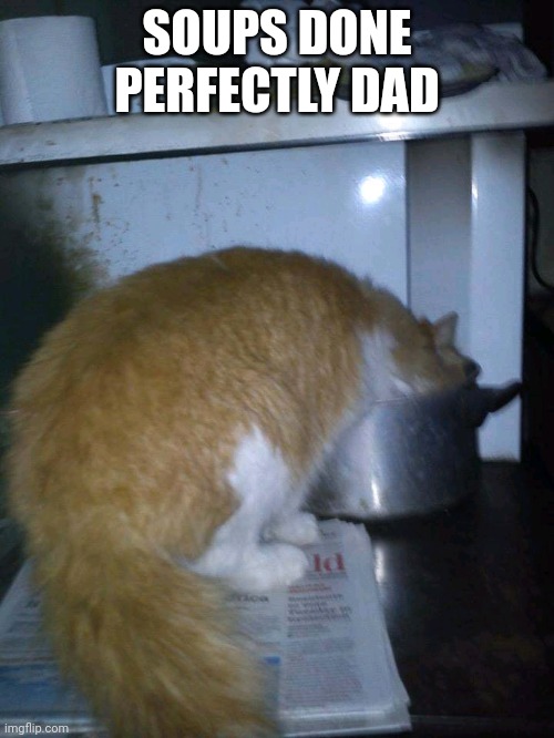 Zeus | SOUPS DONE PERFECTLY DAD | image tagged in zeus | made w/ Imgflip meme maker