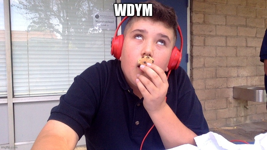 ''cocane cookies'' | WDYM | image tagged in ''cocane cookies'' | made w/ Imgflip meme maker