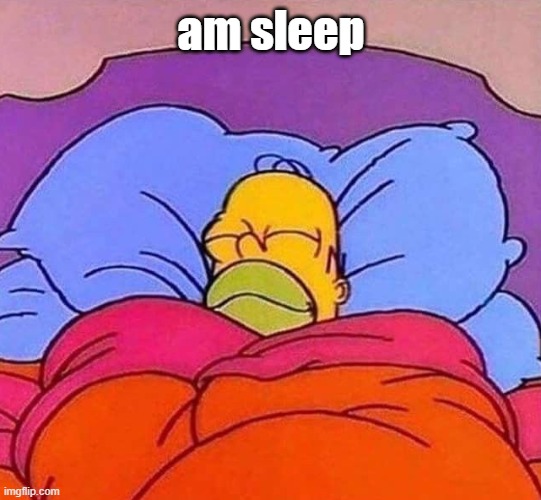 Homer Simpson sleeping peacefully | am sleep | image tagged in homer simpson sleeping peacefully | made w/ Imgflip meme maker