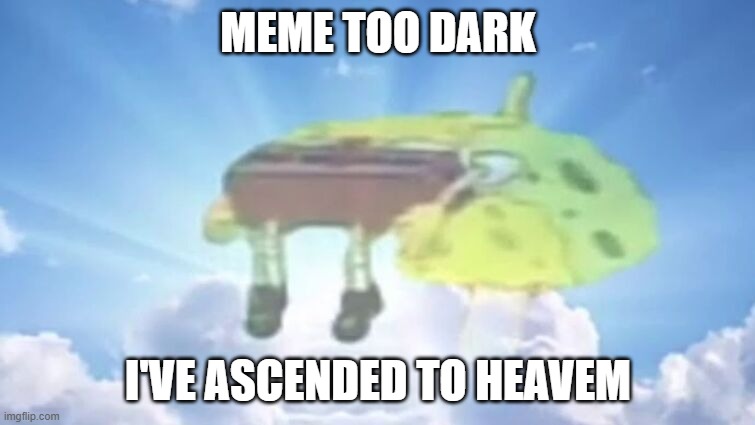 Ascend to heaven | MEME TOO DARK; I'VE ASCENDED TO HEAVEM | image tagged in heaven | made w/ Imgflip meme maker
