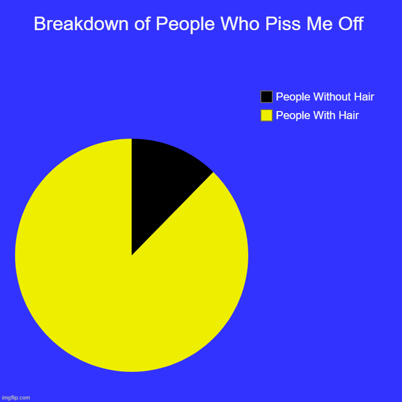 Breakdown of People Who Piss Me Off | People With Hair, People Without Hair | image tagged in charts,pie charts | made w/ Imgflip chart maker