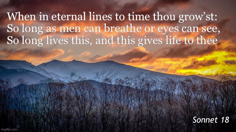 Sonnet 18 |  When in eternal lines to time thou grow’st:
So long as men can breathe or eyes can see,
So long lives this, and this gives life to thee; Sonnet 18 | image tagged in sunset,time | made w/ Imgflip meme maker