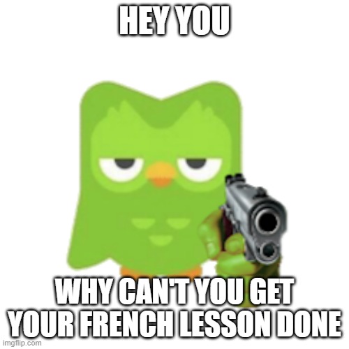 Never forget your spanish lessons |  HEY YOU; WHY CAN'T YOU GET YOUR FRENCH LESSON DONE | image tagged in duolingo | made w/ Imgflip meme maker
