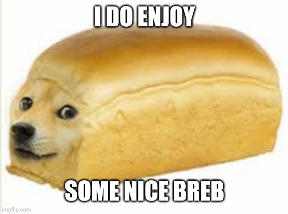 Doge bread | I DO ENJOY SOME NICE BREB | image tagged in doge bread | made w/ Imgflip meme maker