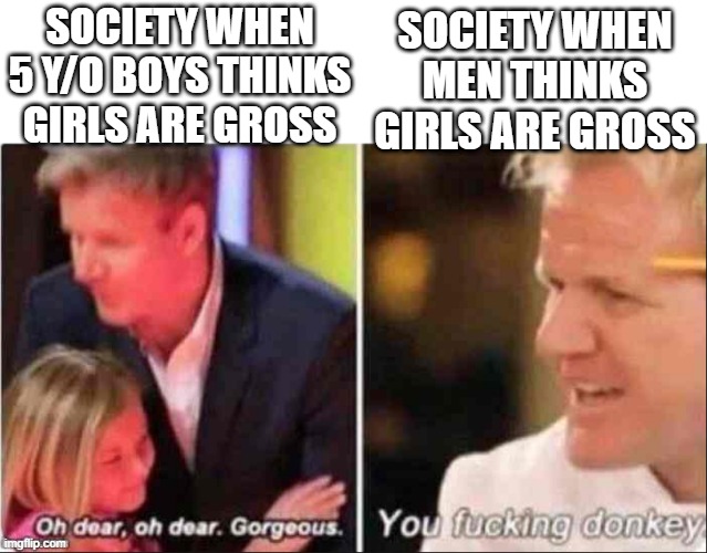 2 ages what the diferences | SOCIETY WHEN MEN THINKS GIRLS ARE GROSS; SOCIETY WHEN 5 Y/O BOYS THINKS GIRLS ARE GROSS | image tagged in oh dear oh dear gorgeous | made w/ Imgflip meme maker