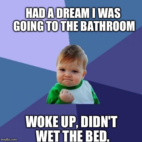 Success Kid | HAD A DREAM I WAS GOING TO THE BATHROOM WOKE UP, DIDN'T WET THE BED. | image tagged in memes,success kid,AdviceAnimals | made w/ Imgflip meme maker