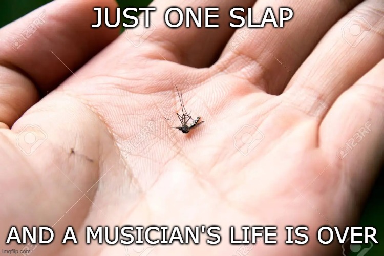 JUST ONE SLAP; AND A MUSICIAN'S LIFE IS OVER | image tagged in memes | made w/ Imgflip meme maker