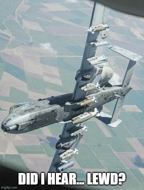 A-10 Warthog | DID I HEAR... LEWD? | image tagged in a-10 warthog | made w/ Imgflip meme maker