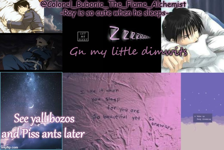 Sleepy Roy tempo | Gn my little dimwits; See yall bozos and Piss ants later | image tagged in sleepy roy tempo | made w/ Imgflip meme maker