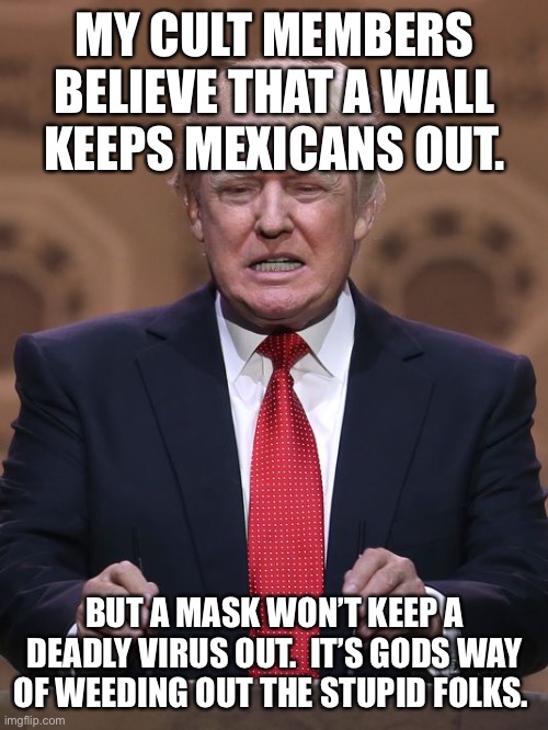 Donald Trump | MY CULT MEMBERS BELIEVE THAT A WALL KEEPS MEXICANS OUT. BUT A MASK WON’T KEEP A DEADLY VIRUS OUT.  IT’S GODS WAY OF WEEDING OUT THE STUPID FOLKS. | image tagged in donald trump | made w/ Imgflip meme maker