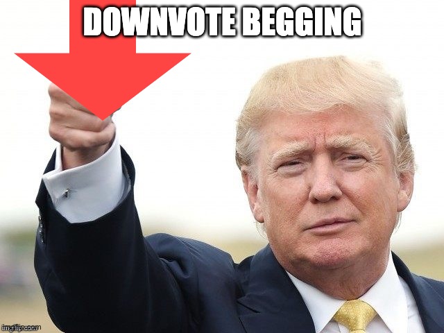 first ever | DOWNVOTE BEGGING | image tagged in trump upvote | made w/ Imgflip meme maker